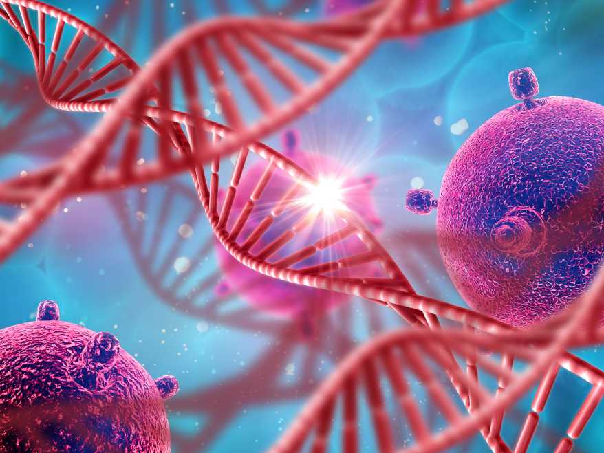 Free Biology Quiz Grade 12